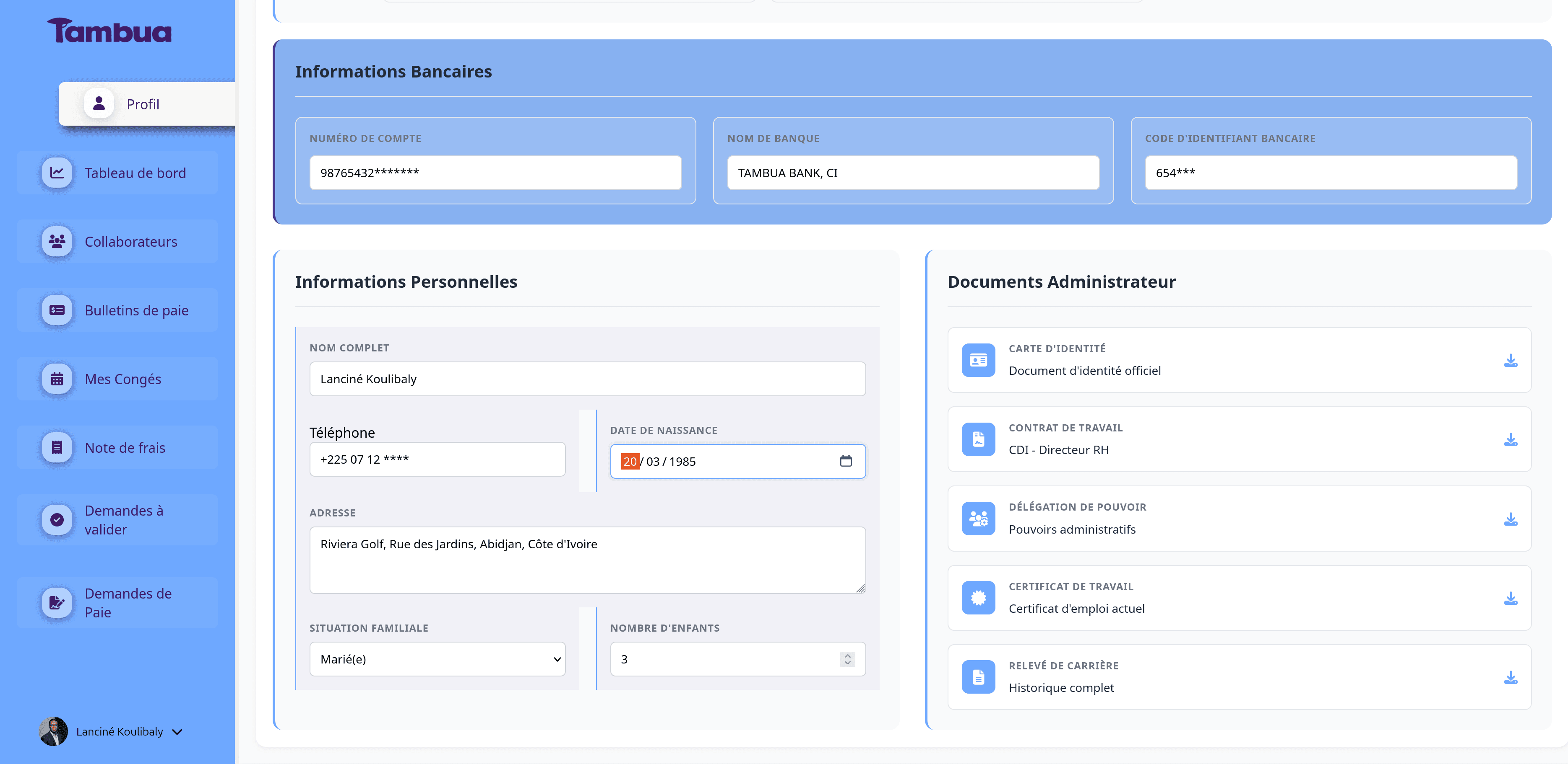 Interface de stockage sécurisé Tambua